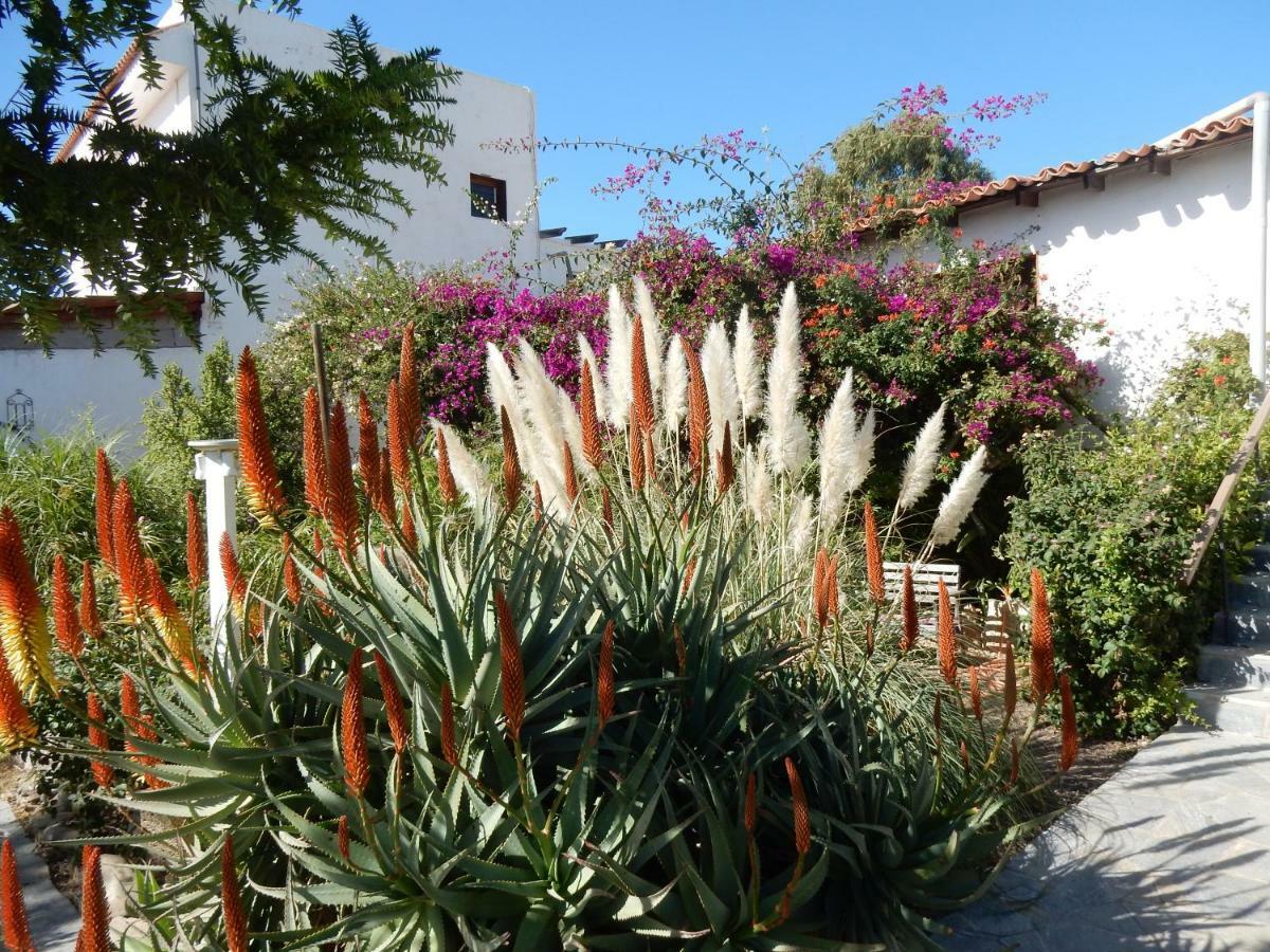 Finca Florida Apartamento San Miguel de Abona Exterior foto